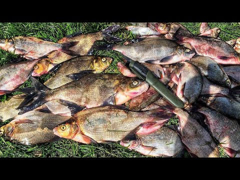 Видео: ЛОВЛЯ ЛЕЩА ДОНКАМИ НА ПЕНОПЛАСТ И САЛО