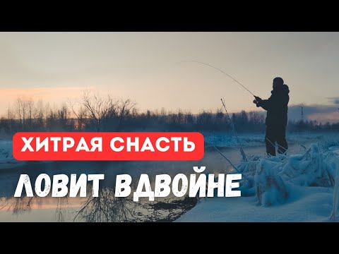 Видео: МАКСИМУМ ПОКЛЁВОК ЗА МИНИМУМ ВРЕМЕНИ. Рыбалка на "запрещённую" снасть.