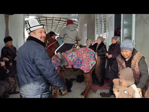 Видео: Уул Той Аксы Жергетал айылы.