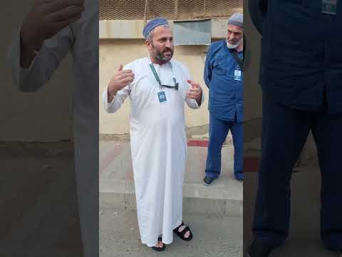 Видео: Гора Саура 