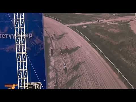 Видео: МУРАС КУБОГУ Бышты жорго 26.07.2025