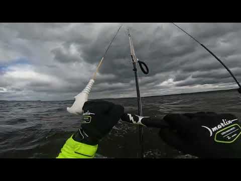 Видео: Гидрофойл с нуля. Сессия 3. Сложный ветер. 5.05