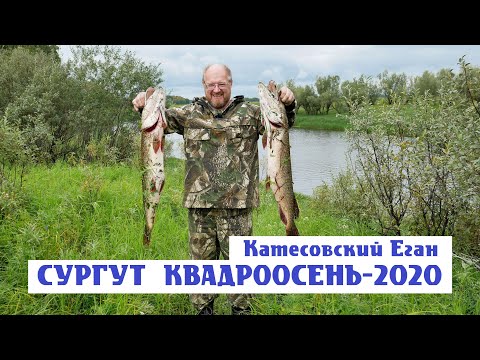 Видео: Сургутская КВАДРООСЕНЬ - 2020. 4К