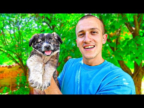 Видео: СПАСИХ КУЧЕНЦЕ ОТ УМИРАНЕ