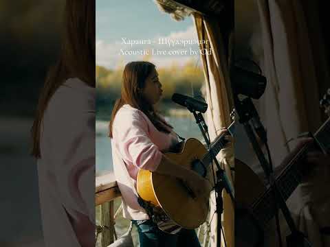 Видео: Харанга Шүүдэр цэцэг Acoustic Live cover by Od