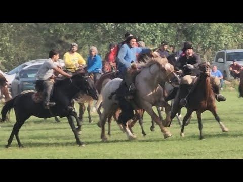 Видео: Бузкаши дар н.Рудаки Ленский Район 3.09.2023