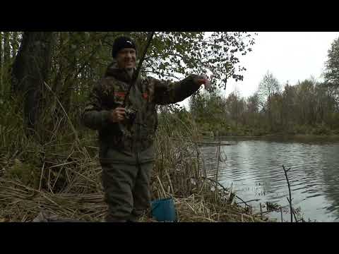 Видео:  РЫБАЛКА НА ОЗ.САВУШКИНО, часть 2