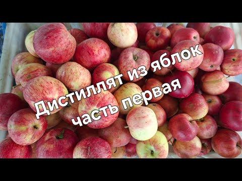 Видео: Яблочный дистиллят. Часть первая.