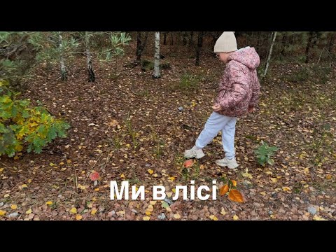 Видео: Перші гриби, забігли в Єву і сільпо