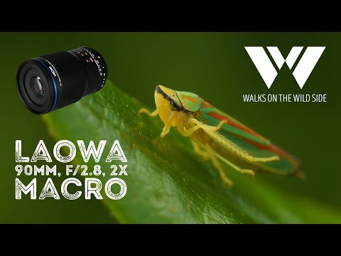 Видео: Обзор ультрамакро объектива Laowa 90mm f/2.8 2x