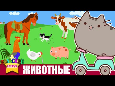 Видео: Урок 5 - Животные | Польский язык для детей | Польська мова для дітей