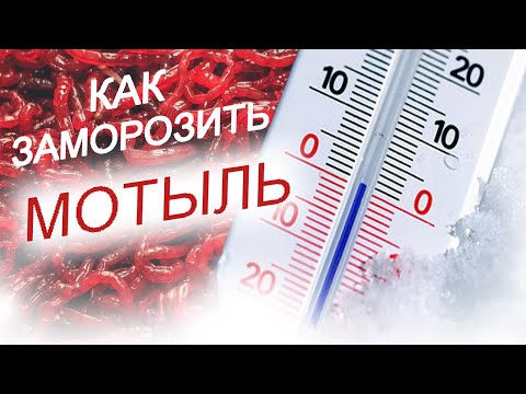 Видео: КАК ПРОМЫТЬ И ЗАМОРОЗИТЬ МОТЫЛЬ. Заморозить мотыль легко и просто. Живой корм для аквариумных рыбок.