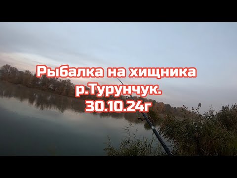 Видео: Рыбалка на Хищника на р.Турунчук  30.10.2024г.