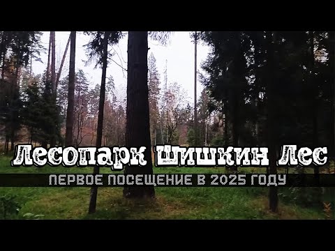 Видео: Лесопарк Шишкин Лес. Первое посещение в 2025 году.