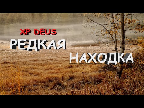 Видео: Редкая находка! | Поиск монет металлоискателем | Коп в Беларуси 2019