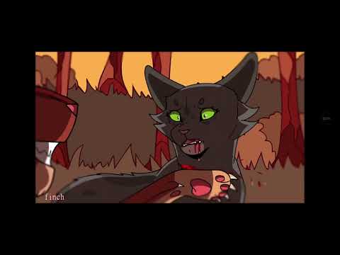 Видео: Я НЕ РО-БОТ! #warriorscats #warriorcats #котывоители 