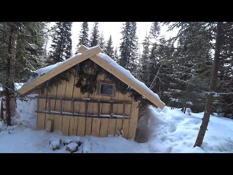 Видео: В ИЗБЕ ЛУЧШЕ ЧЕМ В КВАРТИРЕ. БЫТОВАЯ ВОЗНЯ. ВОКРУГ ТАЙГА, НОЧНАЯ ГОСТЬЯ.