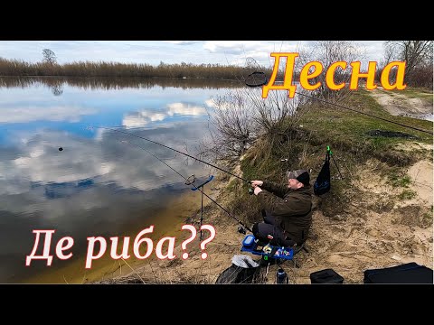 Видео: ДЕСНА, дай РИБУ!!! В активному пошуку ПЛОТВИ // Фідерна риболовля