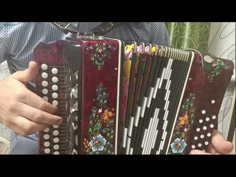 Видео: Стоп музыка. Разбор на гармони.