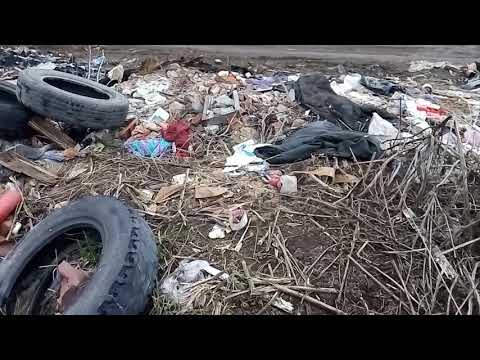 Видео: ЗОЛОТО ИЗ МУСОРА