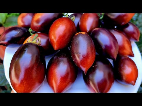 Видео: Пикирую перцы из вермикулита по стаканам. Большой посев томатов для закрытого грунта.