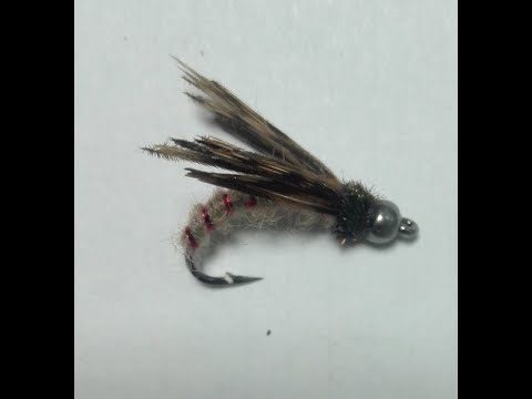 Видео: муха слепень