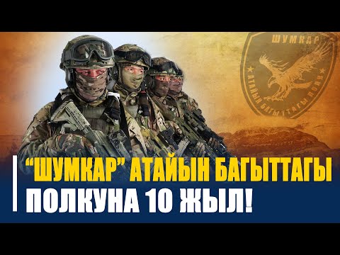 Видео: Сууга ЧӨКПӨГӨН, отко КҮЙБӨГӨН "ШУМКАР" атайын багыттагы полкуна 10 жыл болду!