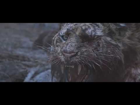 Видео: Король тигров-Там,где боль