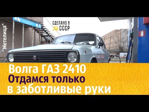 Видео: ГАЗ 2410. ОТДАМСЯ в заботливые РУКИ! "Метелица"