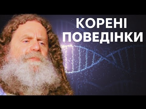 Видео: 6. Розгадка генетичних факторів у поведінці (генетика поведінки)  ч.1 - Роберт Сапольскі