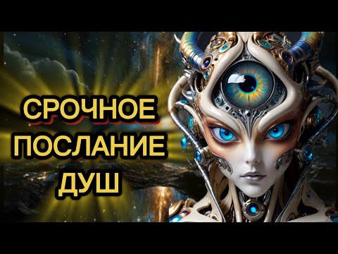 Видео: ⚠️СРОЧНОЕ Послание ДУШ‼️
