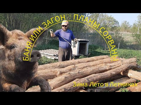 Видео: НАЧАЛО ЗАГОНА ПОЛОЖЕНО.🙂НАШЕСТВИЕ НАСЕДОК. СТРОИТЕЛЬСТВО БАНИ ОТКЛАДЫВАЕТСЯ.🐔🐣венгерская мангалица