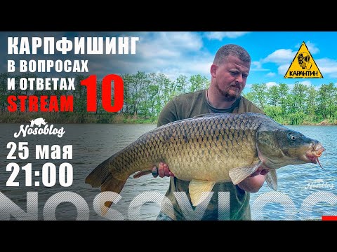 Видео: Стрим карпфишинг в вопросах и ответах, выпуск 10, карантинный