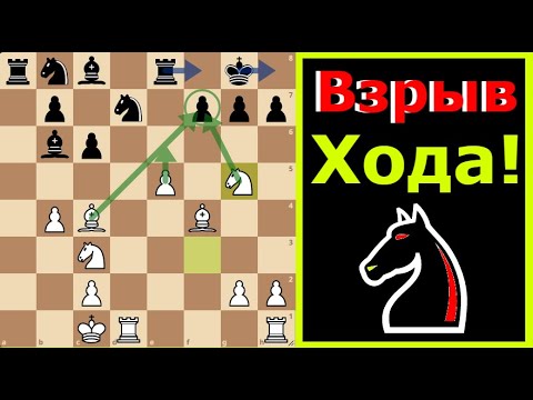 Видео: Гениальная Комбинация в 4 Хода! ♘🔥 | Гамбит Блэкмара–Димера
