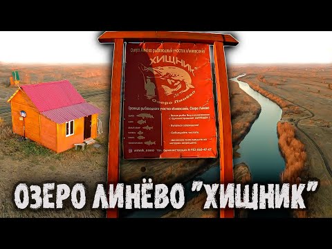 Видео: Озеро Линёво "ХИЩНИК" / Рыбалка в Новосибирске / Ловля хищника осенью на крупные приманки.