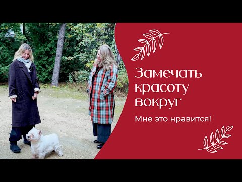 Видео: Замечать красоту вокруг | «Мне это нравится» №173 (18+)