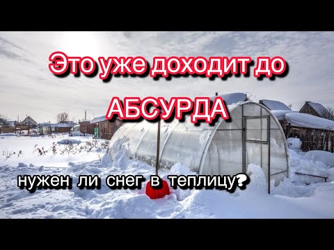 Видео: НЕ СОВЕРШАЙТЕ БЕЗДУМНЫХ ПОСТУПКОВ - ВО ВСЕМ ДОЛЖНА БЫТЬ ЛОГИКА И ЗДРАВЫЙ СМЫСЛ!