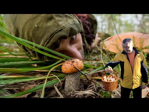Видео: Ужасы похмелья: Грибные приключения