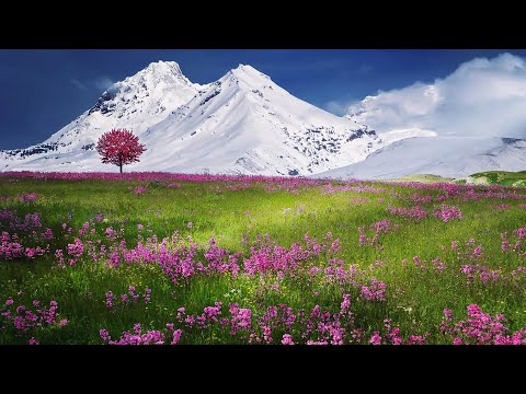 Видео: 22. Йога Нидра - Шри Шри Рави Шанкар