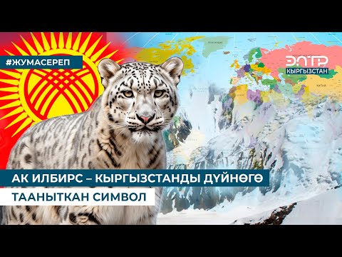 Видео: АК ИЛБИРС – КЫРГЫЗСТАНДЫ ДҮЙНӨГӨ ТААНЫТКАН СИМВОЛ
