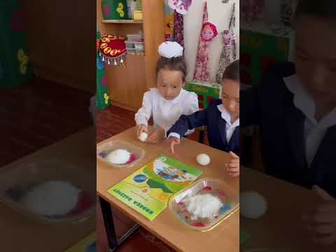 Видео: Құстар-біздің досымыз!