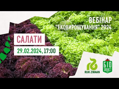 Видео: Асортимент салатів та елементи технології | ЕкоВирощування2024 | Webinar