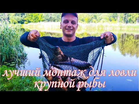 Видео: Фидерный монтаж для ловли КРУПНОГО ЛЕЩА. РЕАЛЬНО РАБОЧАЯ СНАСТЬ!!!