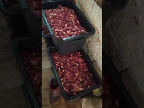 Видео: Сыровяленная конская колбаса "Махан". Рецепт!