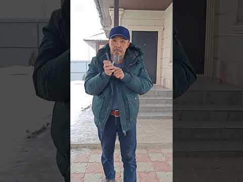 Видео: Коррекция поведения собаки