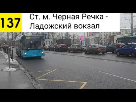Видео: Автобус 137. Ст. м. Черная Речка - Ладожский вокзал