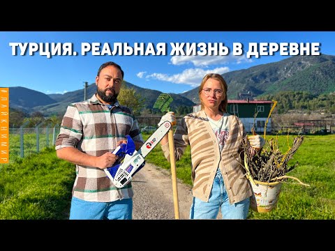 Видео: ТУРЦИЯ. Сняли ДОМ В ДЕРЕВНЕ и ПОЖАЛЕЛИ..!! Реальная Жизнь в деревне! Дом в селе. Хутор Турция 2023