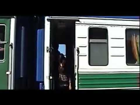 Видео: Пара-Жалгыз журек