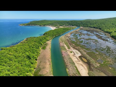 Видео: Аркутино и Ропотамо - Arkutino beach and Ropotamo river