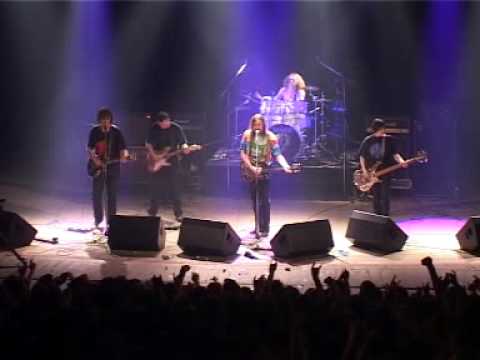 Видео: гражданская оборона   собаки